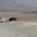 Peru 0229